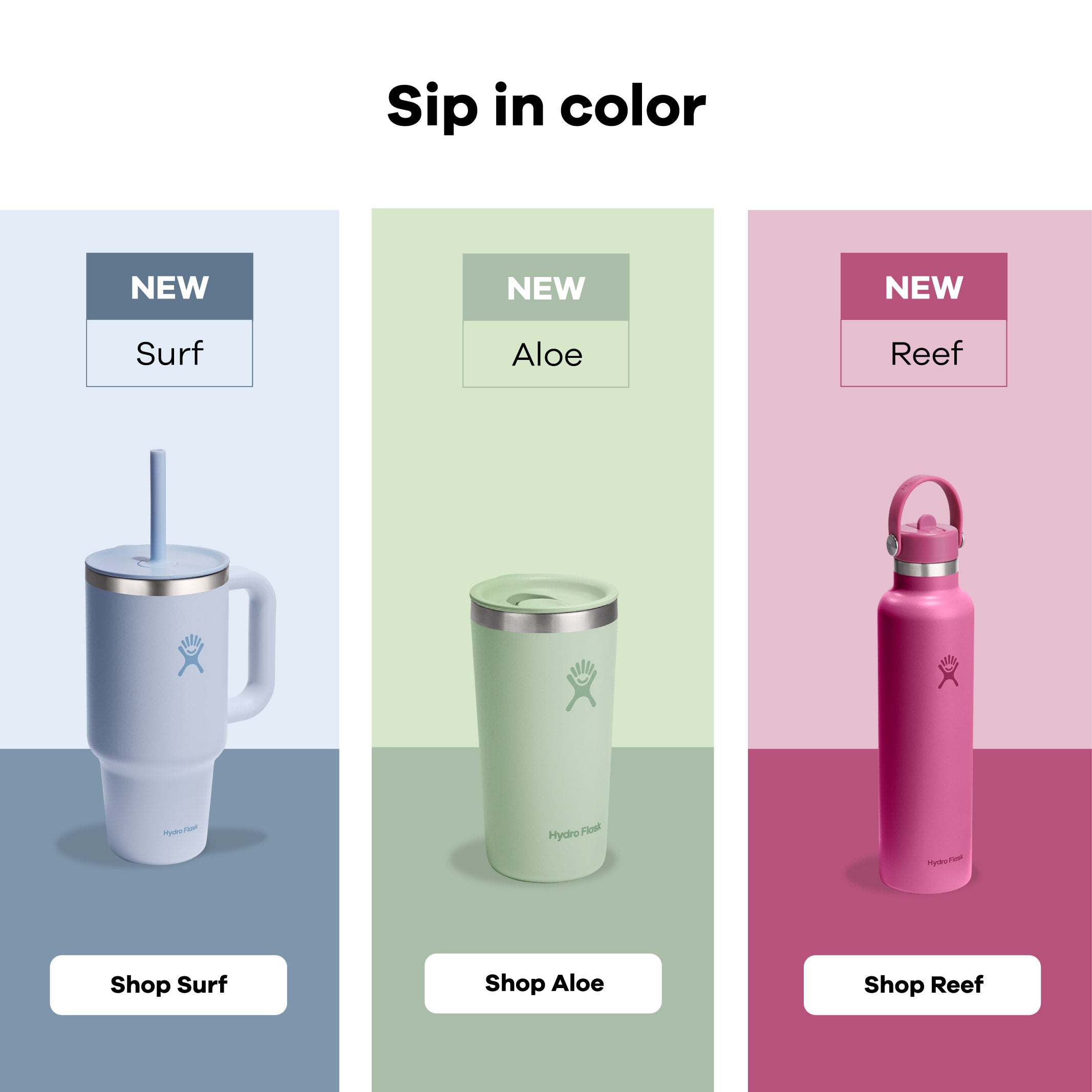 Hydro Flask Singapore