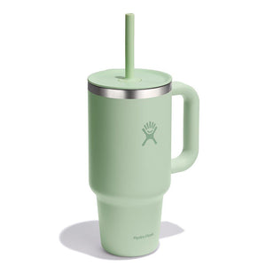 Hydroflask 32 Oz All Around Travel Tumbler - Aloe