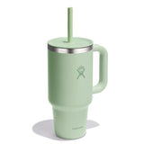 Hydroflask 32 Oz All Around Travel Tumbler - Aloe